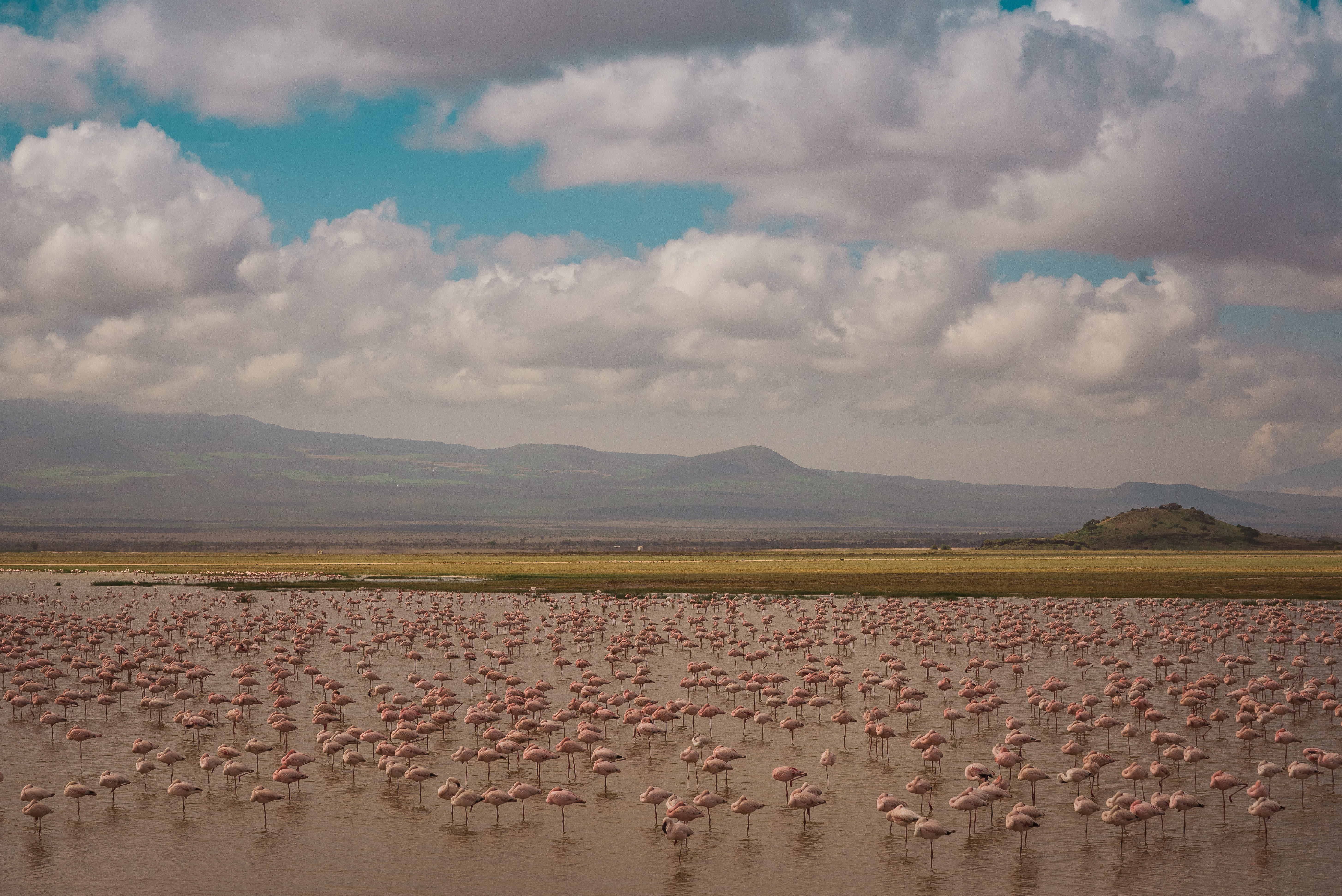 Nakuru / Naivasha